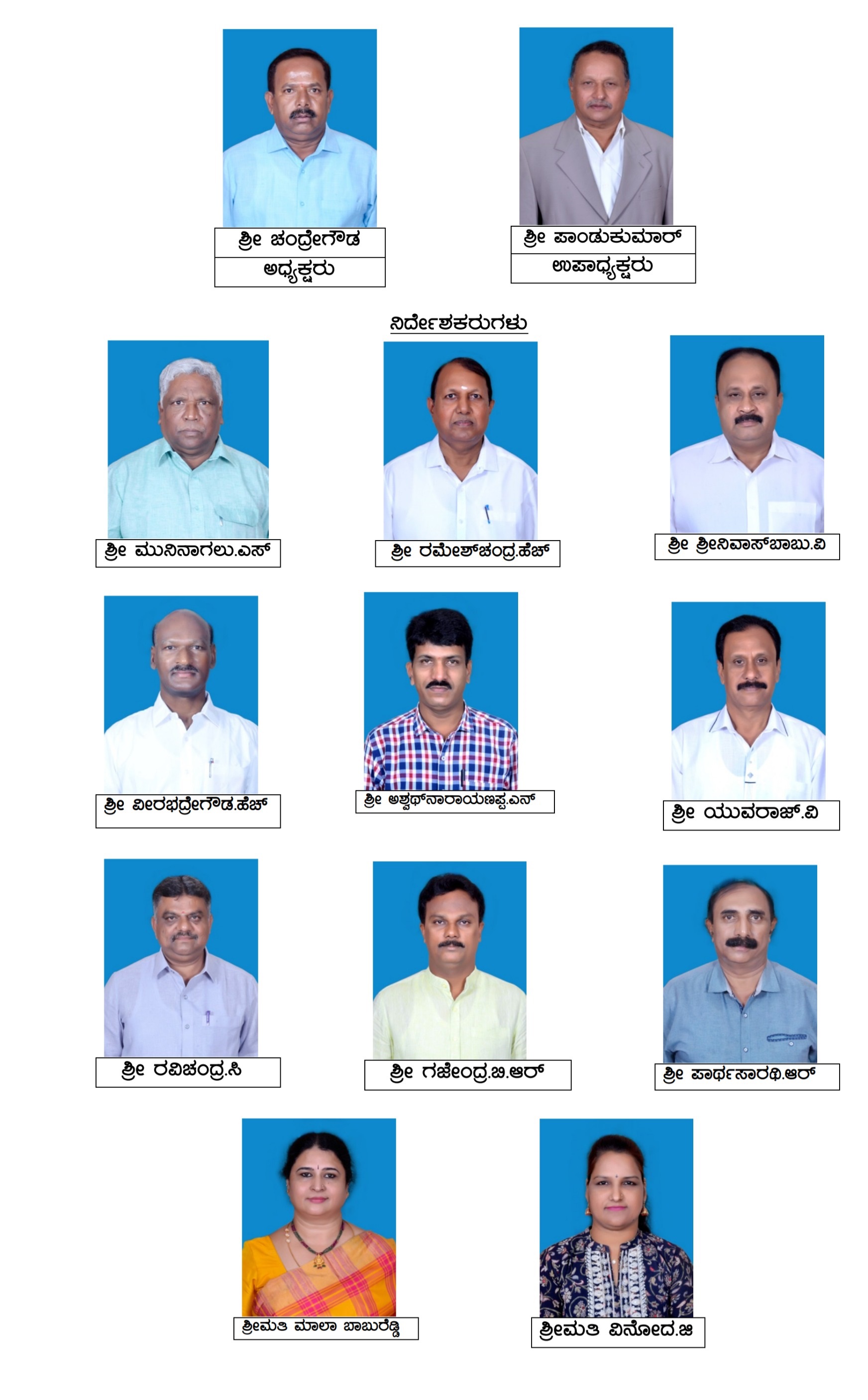 New Management 2023-2028